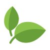 Vegetariano